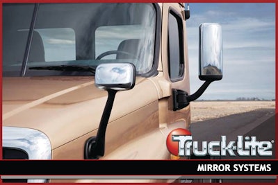 Mirrorsystem 10057197