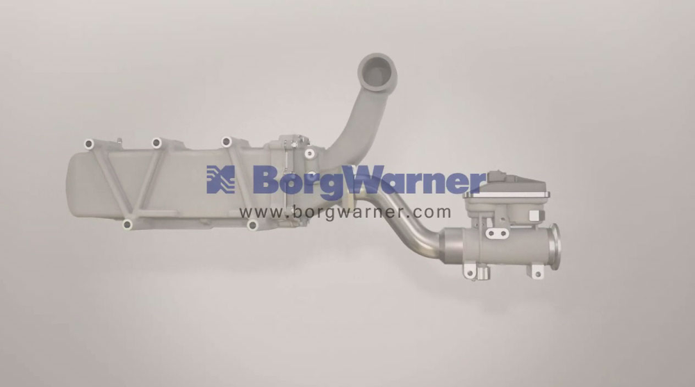 Borgwarneregrsystem 10239656