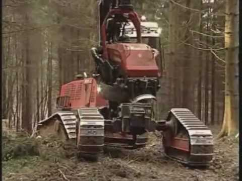 Hqdefault 10624882 jpg