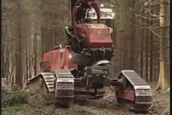 Hqdefault 10624882 jpg