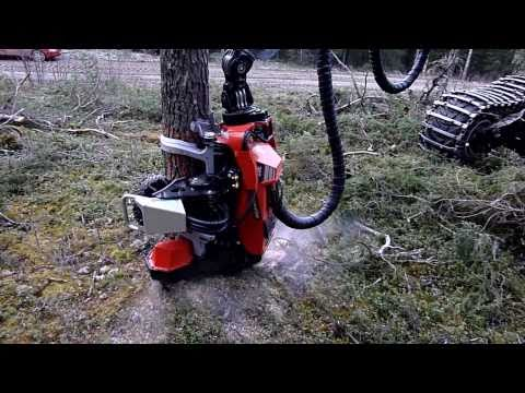 Hqdefault 10632914 jpg