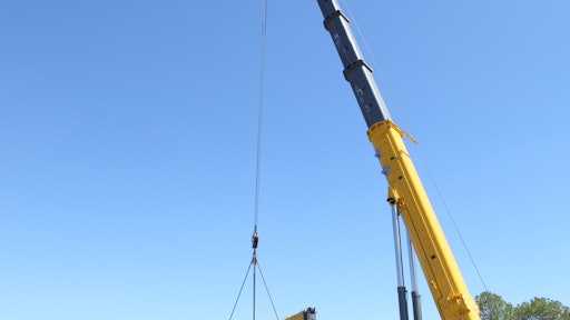Texas Cranes1