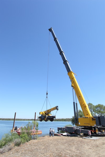 Texas Cranes1
