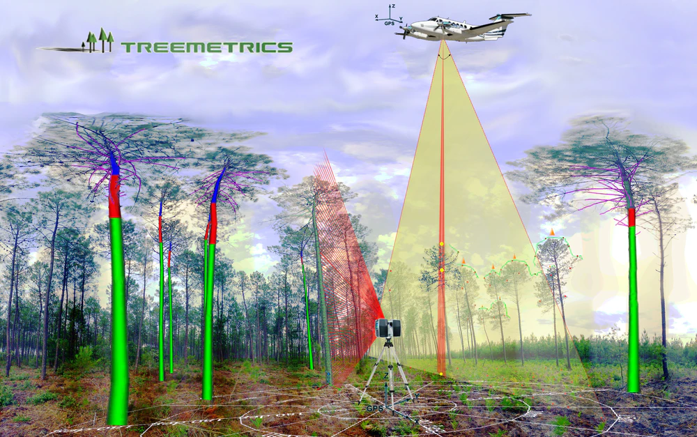 Treemetrics Releases New Wave Technology for Forestry Industry | OEM ...