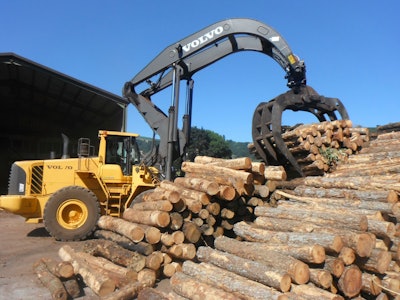 Volvo Ce Forestryin Spain