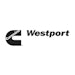 C Westport Lg Editfas 10933055