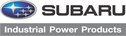 Logo 10933091