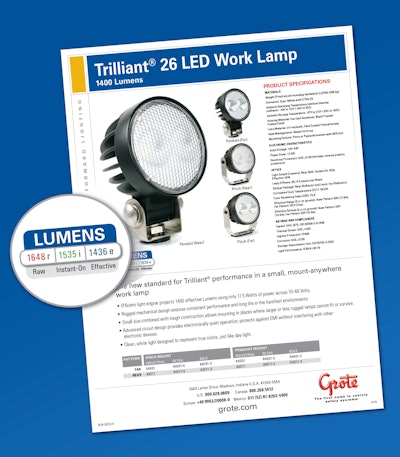 R.I.E. information wrapped in a distinctive visual package will appear on all Grote white light technical documentation.