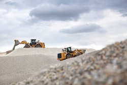Cat Munchen Cor 2 0253