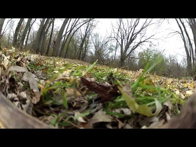 Sddefault 11248139 jpg