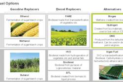 Ricardo Biofuelsinfographic 11533802