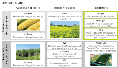 Ricardo Biofuelsinfographic 11533802
