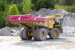Pink Tailgate 54c8006c07a6d