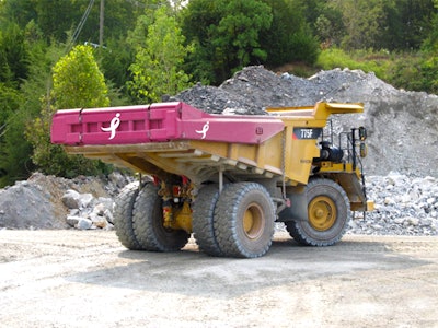 Pink Tailgate 54c8006c07a6d