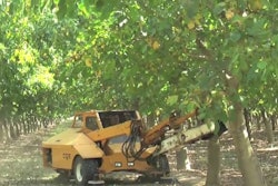 COE M7 Mono Boom Shaker shaking walnut trees