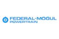 F M Powertrain color 554d0b1f030eb