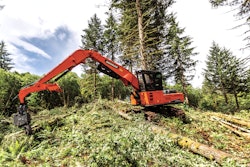 Dx380 Ll 5 Log Loader Image 1 583dc2ee0fbef