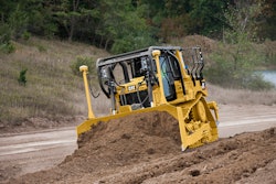 Cat 58b5a18ea7251