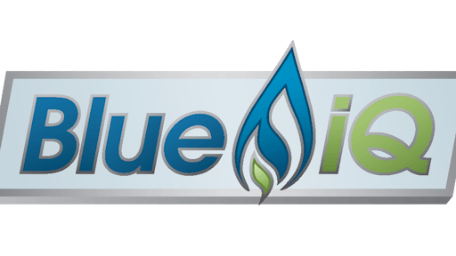 Blue Iq Logo 590c9016ab6f9