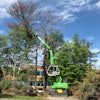 Sennebogen 718 And Mayer Tree Service