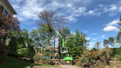 The SENNEBOGEN 718's telescopic stick has a reach of up to 13 m (43 ft.), eliminating the need for a person to stand below the tree in order to cut it.
