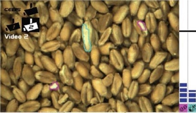 Grain Quality Camera