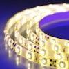 Carbodeon Nanodiamonds Are Combined With Polymers For Use In Fields Such As Led Lighting Personal Electronics Automotive Components And Machine Tools