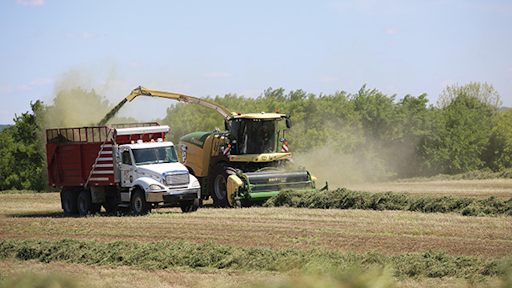 Bigx In Field