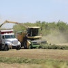 Bigx In Field
