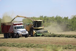 Bigx In Field