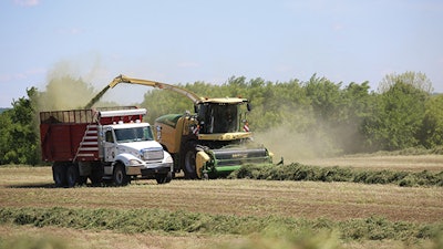 Bigx In Field