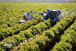 Fpt Grape Harvester
