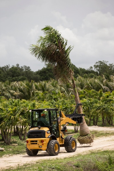 Cm20180731 58248 50022