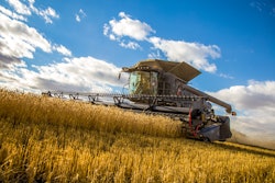 Ag18 Pv001 Ds Fendt Ideal Wheat Lougheed Alberta Img 5226 2