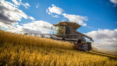 Ag18 Pv001 Ds Fendt Ideal Wheat Lougheed Alberta Img 5226 2