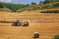 Harvest 3914269 1920