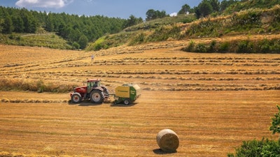 Harvest 3914269 1920