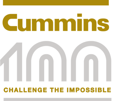 C100 Theme Metallic Uncoated