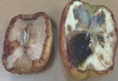 Purilite Light-Shield lamps generate sanitizing negative ions that combine with positive molecules in mold spores and bacterial proteins, destroying them and causing them to decompose (shown left, an apple protected by Purilite Light-Shield LED light, and right, an apple exposed to normal LED light).