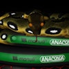 Anaconda