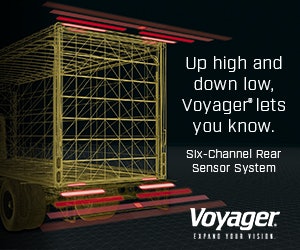 Cvps19 Graphic For Press Release