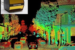 Cheetah Photo W Background