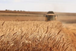 Agriculture is one of the many industries being impacted by the tariffs in swing states, and across the U.S.