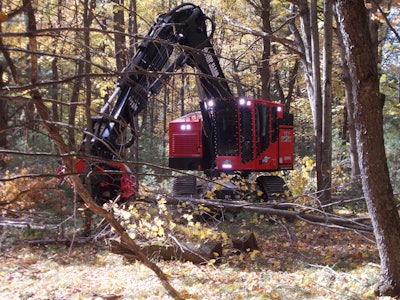 Even in daylight having the right lighting solution can ensure optimal visibility for operators.