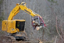 Feller Buncher Xt465 L 5