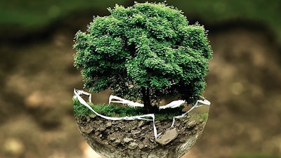 How Is Nature Influencing The Way We Design 06