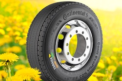 Continental's research work into use of Russian dandelion as an alternative to will be part of the new sustainability department.