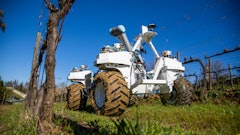 Yanmar has helped develop two prototype agricultural robots, one for grapevines and the other spinach.