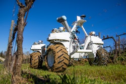 Yanmar has helped develop two prototype agricultural robots, one for grapevines and the other spinach.