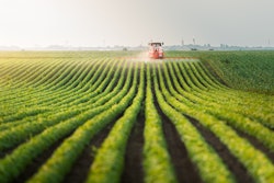 Adobe Stock 243525780